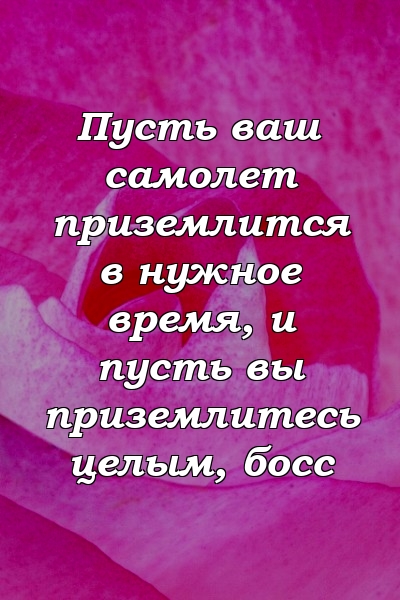 Пусть ваш самолет приземлится в нужное время, и пусть вы приземлитесь целым, босс