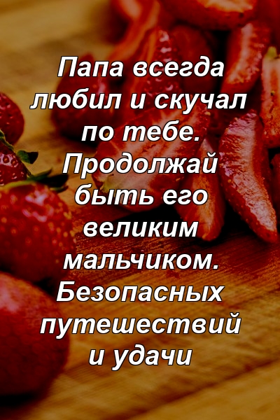 Папа всегда любил и скучал по тебе. Продолжай быть его великим мальчиком. Безопасных путешествий и удачи