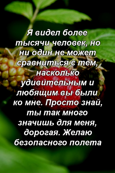 Я видел более тысячи человек, но ни один не может сравниться с тем, насколько удивительным и любящим вы были ко мне. Просто знай, ты так много значишь для меня, дорогая. Желаю безопасного полета