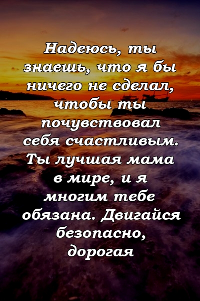 Надеюсь, ты знаешь, что я бы ничего не сделал, чтобы ты почувствовал себя счастливым. Ты лучшая мама в мире, и я многим тебе обязана. Двигайся безопасно, дорогая