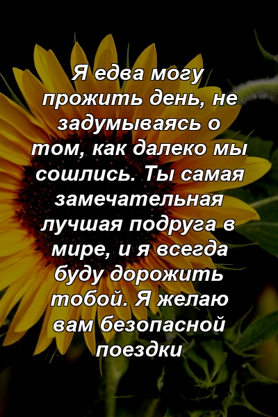 Я едва могу прожить день, не задумываясь о том, как далеко мы сошлись. Ты самая замечательная лучшая подруга в мире, и я всегда буду дорожить тобой. Я желаю вам безопасной поездки