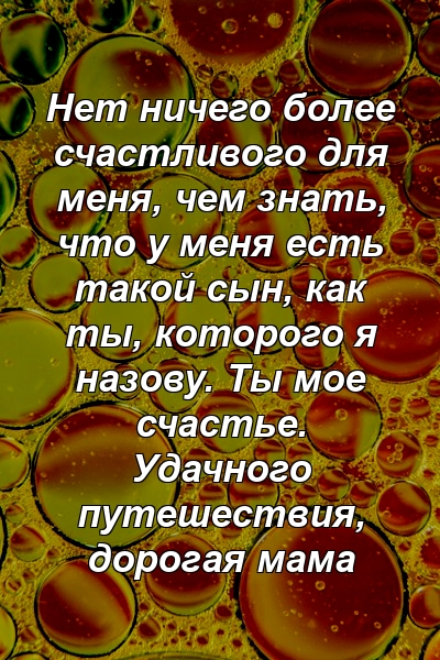 Нет ничего более счастливого для меня, чем знать, что у меня есть такой сын, как ты, которого я назову. Ты мое счастье. Удачного путешествия, дорогая мама