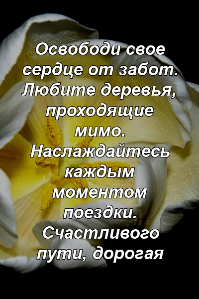 Освободи свое сердце от забот. Любите деревья, проходящие мимо. Наслаждайтесь каждым моментом поездки. Счастливого пути, дорогая