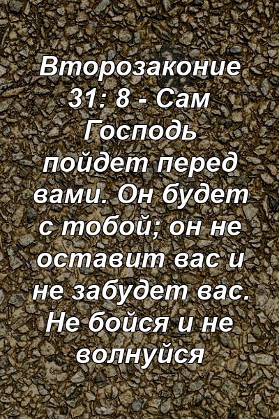 Второзаконие 31: 8 - Сам Господь пойдет перед вами. Он будет с тобой; он не оставит вас и не забудет вас. Не бойся и не волнуйся