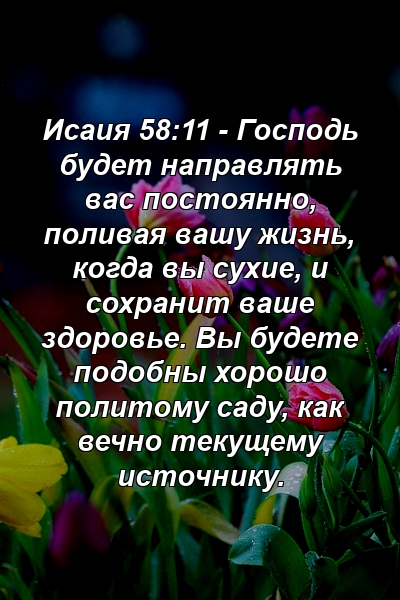 Слово твое светильник ноге моей и свет стезе моей картинки