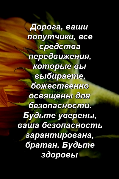 Дорога, ваши попутчики, все средства передвижения, которые вы выбираете, божественно освящены для безопасности. Будьте уверены, ваша безопасность гарантирована, братан. Будьте здоровы