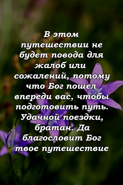 В этом путешествии не будет повода для жалоб или сожалений, потому что Бог пошел впереди вас, чтобы подготовить путь. Удачной поездки, братан. Да благословит Бог твое путешествие