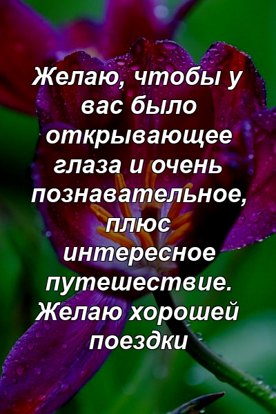 Желаю, чтобы у вас было открывающее глаза и очень познавательное, плюс интересное путешествие. Желаю хорошей поездки