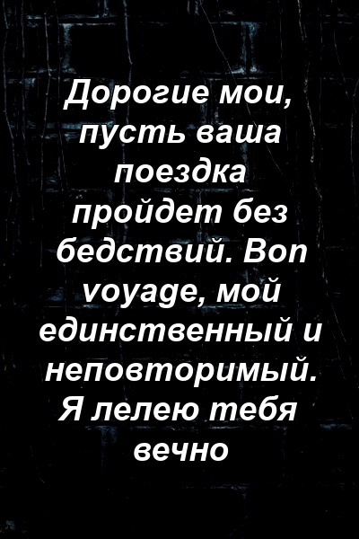 Дорогие мои, пусть ваша поездка пройдет без бедствий. Bon voyage, мой единственный и неповторимый. Я лелею тебя вечно