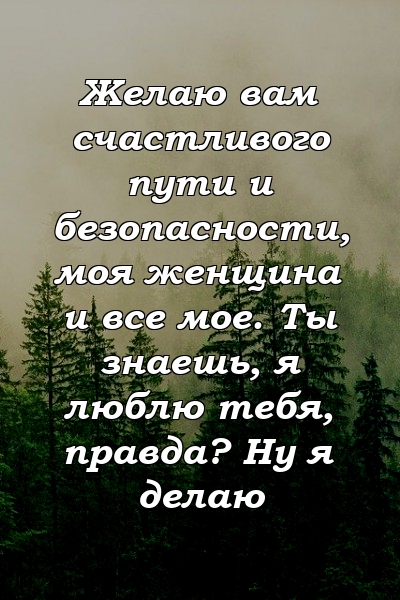 Желаю вам счастливого пути и безопасности, моя женщина и все мое. Ты знаешь, я люблю тебя, правда? Ну я делаю