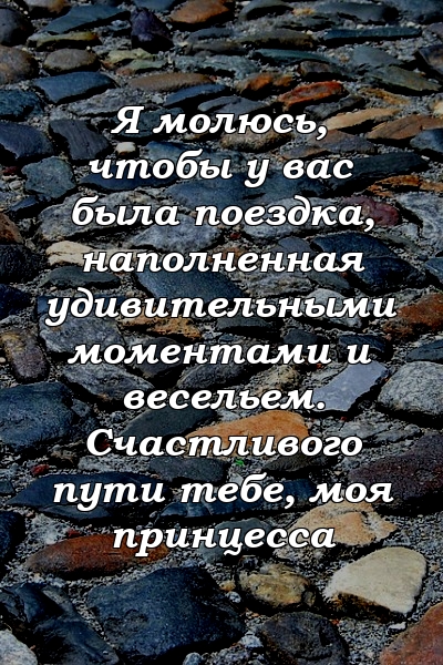 Я молюсь, чтобы у вас была поездка, наполненная удивительными моментами и весельем. Счастливого пути тебе, моя принцесса