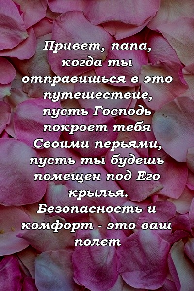 Привет, папа, когда ты отправишься в это путешествие, пусть Господь покроет тебя Своими перьями, пусть ты будешь помещен под Его крылья. Безопасность и комфорт - это ваш полет