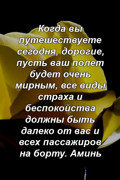 Когда вы путешествуете сегодня, дорогие, пусть ваш полет будет очень мирным, все виды страха и беспокойства должны быть далеко от вас и всех пассажиров на борту. Аминь