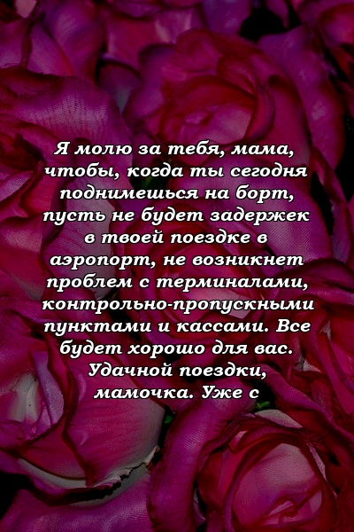 Я молю за тебя, мама, чтобы, когда ты сегодня поднимешься на борт, пусть не будет задержек в твоей поездке в аэропорт, не возникнет проблем с терминалами, контрольно-пропускными пунктами и кассами. Все будет хорошо для вас. Удачной поездки, мамочка. Уже с