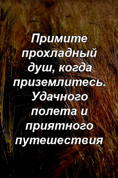 Примите прохладный душ, когда приземлитесь. Удачного полета и приятного путешествия