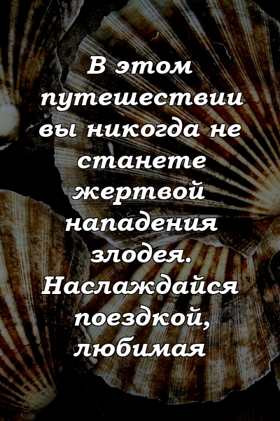 В этом путешествии вы никогда не станете жертвой нападения злодея. Наслаждайся поездкой, любимая