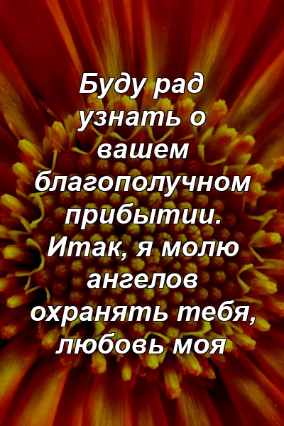 Буду рад узнать о вашем благополучном прибытии. Итак, я молю ангелов охранять тебя, любовь моя