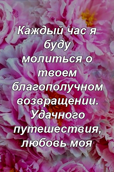 Каждый час я буду молиться о твоем благополучном возвращении. Удачного путешествия, любовь моя