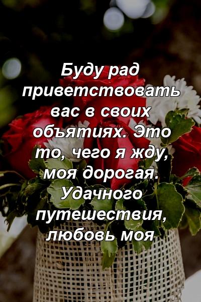 Буду рад приветствовать вас в своих объятиях. Это то, чего я жду, моя дорогая. Удачного путешествия, любовь моя