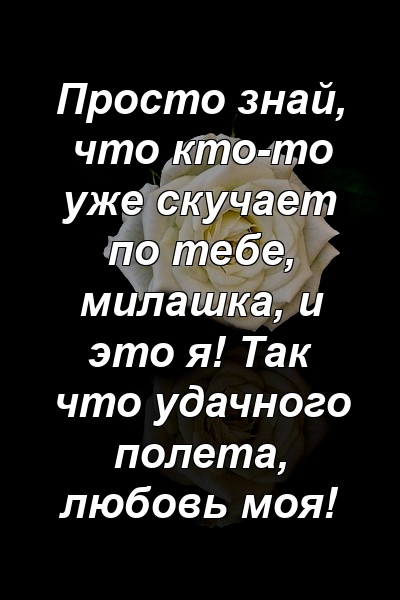 Просто знай, что кто-то уже скучает по тебе, милашка, и это я! Так что удачного полета, любовь моя!