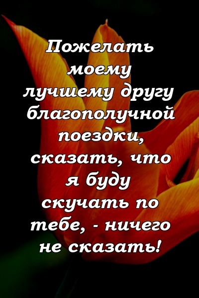 Пожелать моему лучшему другу благополучной поездки, сказать, что я буду скучать по тебе, - ничего не сказать!