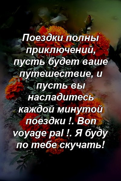 Поездки полны приключений, пусть будет ваше путешествие, и пусть вы насладитесь каждой минутой поездки !. Bon voyage pal !. Я буду по тебе скучать!