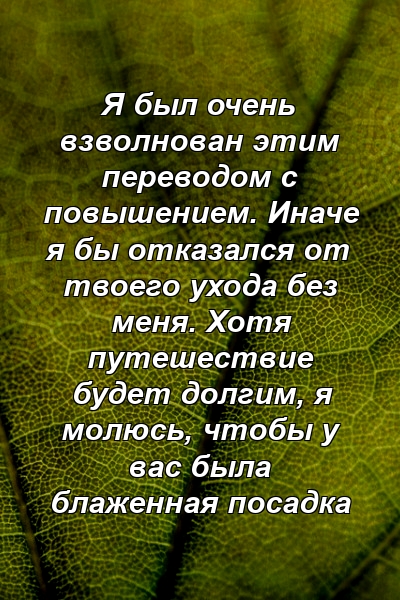 Я был очень взволнован этим переводом с повышением. Иначе я бы отказался от твоего ухода без меня. Хотя путешествие будет долгим, я молюсь, чтобы у вас была блаженная посадка