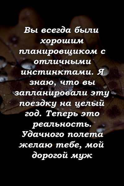 Вы всегда были хорошим планировщиком с отличными инстинктами. Я знаю, что вы запланировали эту поездку на целый год. Теперь это реальность. Удачного полета желаю тебе, мой дорогой муж