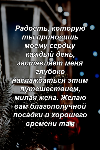 Радость, которую ты приносишь моему сердцу каждый день, заставляет меня глубоко наслаждаться этим путешествием, милая жена. Желаю вам благополучной посадки и хорошего времени там