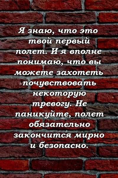 Я знаю, что это твой первый полет. И я вполне понимаю, что вы можете захотеть почувствовать некоторую тревогу. Не паникуйте, полет обязательно закончится мирно и безопасно.