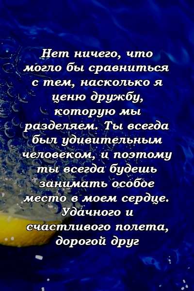 Нет ничего, что могло бы сравниться с тем, насколько я ценю дружбу, которую мы разделяем. Ты всегда был удивительным человеком, и поэтому ты всегда будешь занимать особое место в моем сердце. Удачного и счастливого полета, дорогой друг