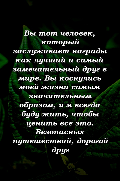 Вы тот человек, который заслуживает награды как лучший и самый замечательный друг в мире. Вы коснулись моей жизни самым значительным образом, и я всегда буду жить, чтобы ценить все это. Безопасных путешествий, дорогой друг