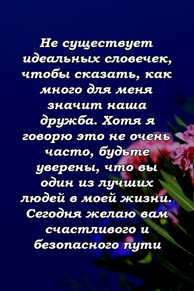 Не существует идеальных словечек, чтобы сказать, как много для меня значит наша дружба. Хотя я говорю это не очень часто, будьте уверены, что вы один из лучших людей в моей жизни. Сегодня желаю вам счастливого и безопасного пути