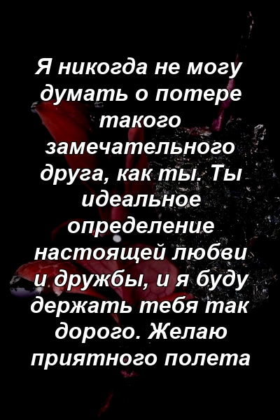 Я никогда не могу думать о потере такого замечательного друга, как ты. Ты идеальное определение настоящей любви и дружбы, и я буду держать тебя так дорого. Желаю приятного полета