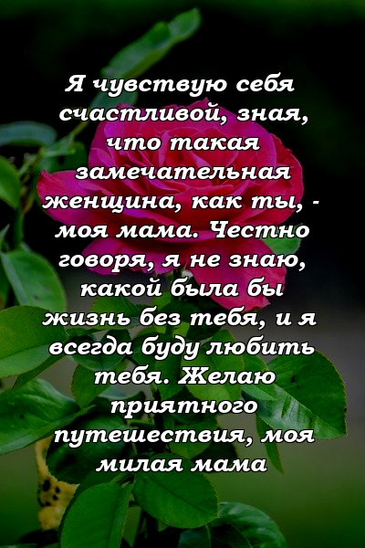 Я чувствую себя счастливой, зная, что такая замечательная женщина, как ты, - моя мама. Честно говоря, я не знаю, какой была бы жизнь без тебя, и я всегда буду любить тебя. Желаю приятного путешествия, моя милая мама