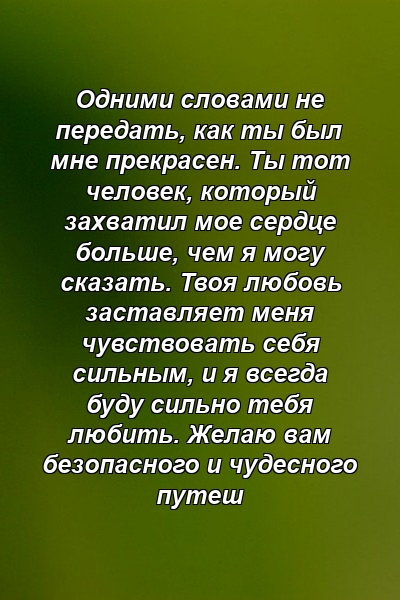 Одними словами не передать, как ты был мне прекрасен. Ты тот человек, который захватил мое сердце больше, чем я могу сказать. Твоя любовь заставляет меня чувствовать себя сильным, и я всегда буду сильно тебя любить. Желаю вам безопасного и чудесного путеш