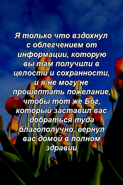 Я только что вздохнул с облегчением от информации, которую вы там получили в целости и сохранности, и я не могу не прошептать пожелание, чтобы тот же Бог, который заставил вас добраться туда благополучно, вернул вас домой в полном здравии