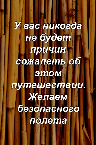 У вас никогда не будет причин сожалеть об этом путешествии. Желаем безопасного полета