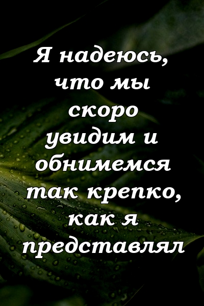 Я надеюсь, что мы скоро увидим и обнимемся так крепко, как я представлял