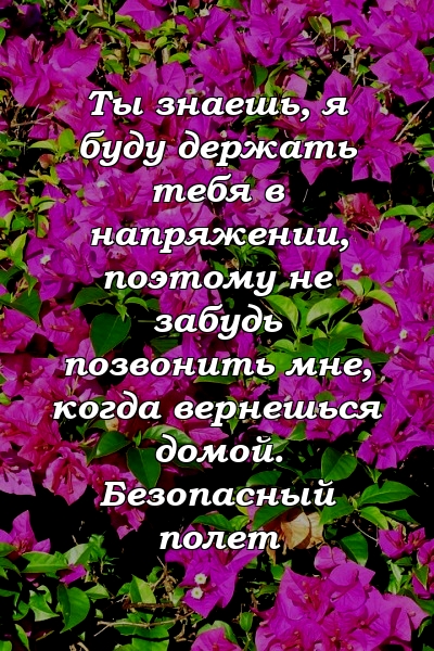 Ты знаешь, я буду держать тебя в напряжении, поэтому не забудь позвонить мне, когда вернешься домой. Безопасный полет