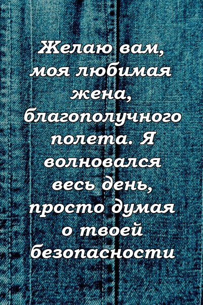 Желаю вам, моя любимая жена, благополучного полета. Я волновался весь день, просто думая о твоей безопасности