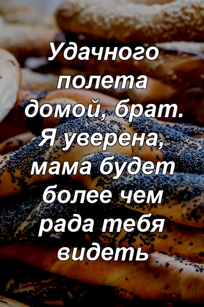 Удачного полета домой, брат. Я уверена, мама будет более чем рада тебя видеть