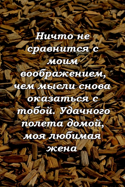 Ничто не сравнится с моим воображением, чем мысли снова оказаться с тобой. Удачного полета домой, моя любимая жена