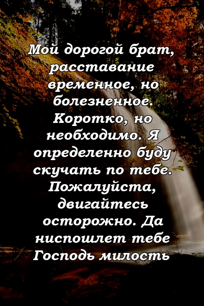 Мой дорогой брат, расставание временное, но болезненное. Коротко, но необходимо. Я определенно буду скучать по тебе. Пожалуйста, двигайтесь осторожно. Да ниспошлет тебе Господь милость