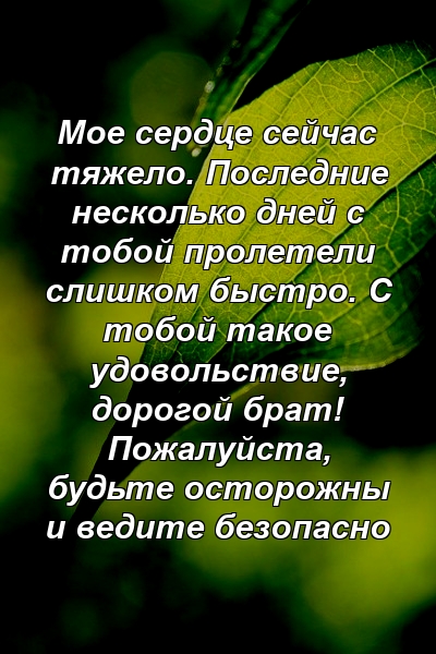 Мое сердце сейчас тяжело. Последние несколько дней с тобой пролетели слишком быстро. С тобой такое удовольствие, дорогой брат! Пожалуйста, будьте осторожны и ведите безопасно