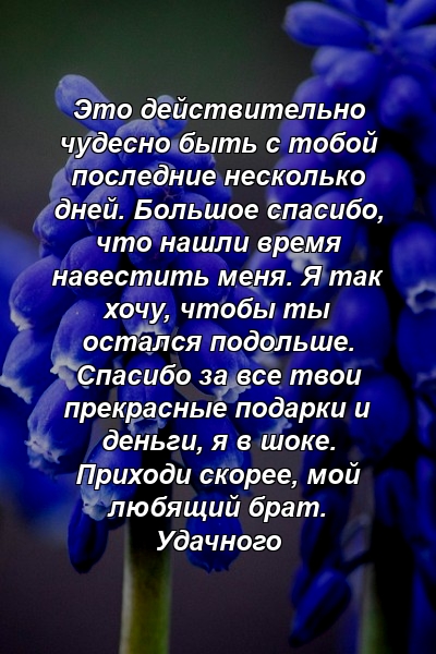 Это действительно чудесно быть с тобой последние несколько дней. Большое спасибо, что нашли время навестить меня. Я так хочу, чтобы ты остался подольше. Спасибо за все твои прекрасные подарки и деньги, я в шоке. Приходи скорее, мой любящий брат. Удачного 