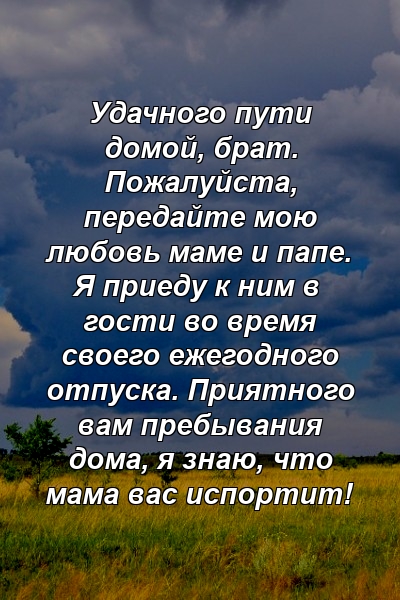 Удачного пути домой, брат. Пожалуйста, передайте мою любовь маме и папе. Я приеду к ним в гости во время своего ежегодного отпуска. Приятного вам пребывания дома, я знаю, что мама вас испортит!