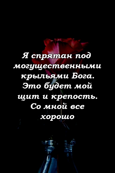 Я спрятан под могущественными крыльями Бога. Это будет мой щит и крепость. Со мной все хорошо