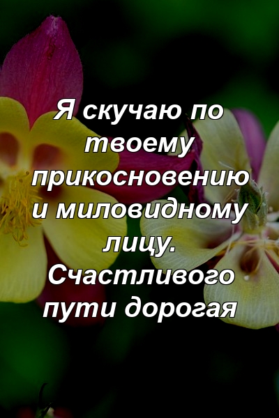 Я скучаю по твоему прикосновению и миловидному лицу. Счастливого пути дорогая