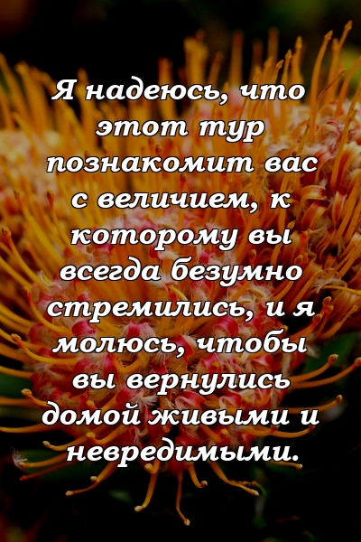 Я надеюсь, что этот тур познакомит вас с величием, к которому вы всегда безумно стремились, и я молюсь, чтобы вы вернулись домой живыми и невредимыми.